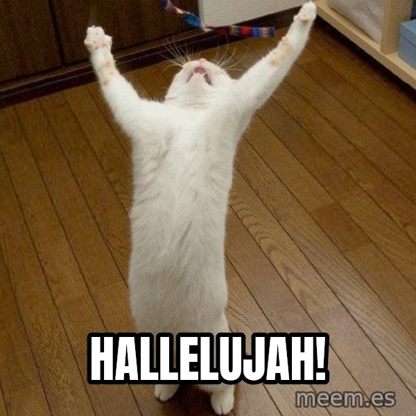 praise the lord cat meme: HALLELUJAH!