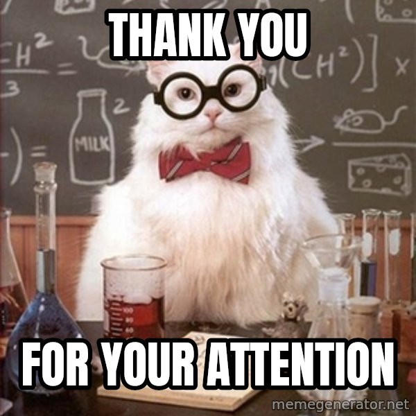 Science Cat meme: THANK YOU / FOR YOUR ATTENTION