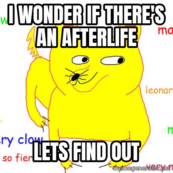 Grumpy Cat  meme: I wonder if there's an afterlife / LETS FIND OUT