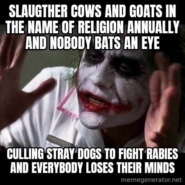 joker mind loss meme: SLAUGTHER COWS AND GOATS IN THE NAME OF RELIGION ANNUALLY AND NOBODY BATS AN EYE / CULLING STRAY DOGS TO FIGHT RABIES AND EVERYBODY LOSES THEIR MINDS