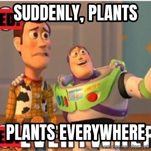 X, X Everywhere  meme: Suddenly, plants / plants everywhere