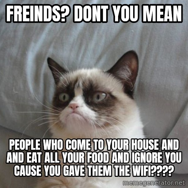 Grumpy cat good meme: freinds? dont you mean / people who come to your house and  and eat all your food and ignore you cause you gave them the wifi????