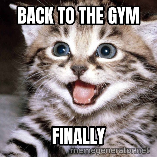 HAPPY KITTEN meme: back to the gym / finally