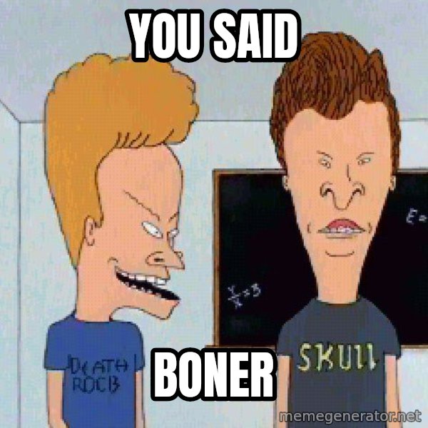 Beavis and butthead meme: you said / boner