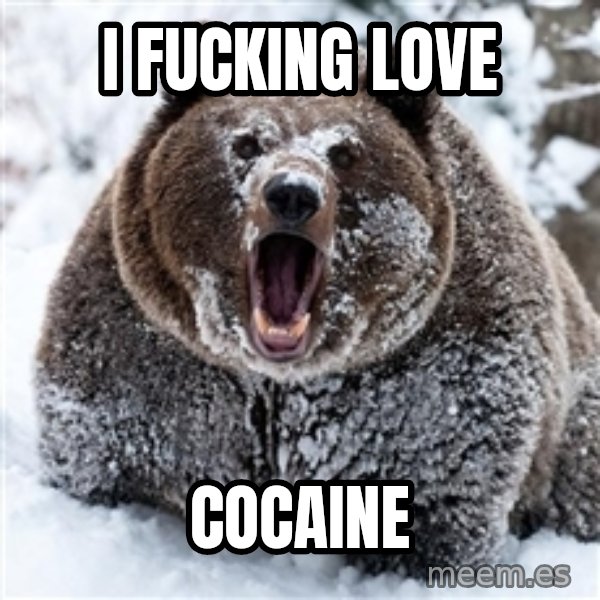 Cocaine Bear meme: I FUCKING LOVE / COCAINE