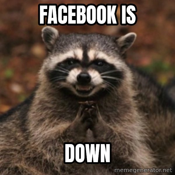 evil raccoon meme: Facebook is / Down