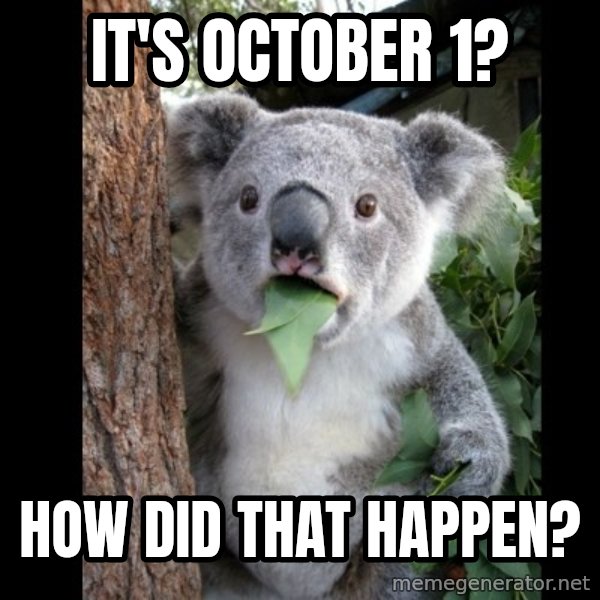 Koala can't believe it meme: it's october 1? / how did that happen?