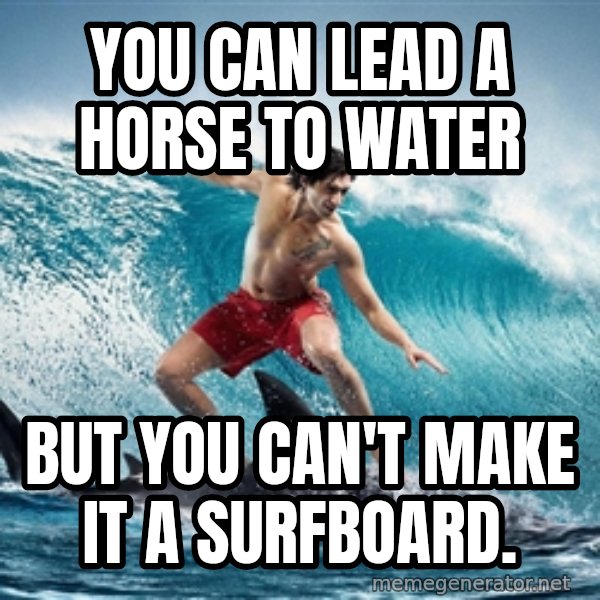 Zambezi Meme Team meme: you can lead a horse to water / but you can't make it a surfboard.