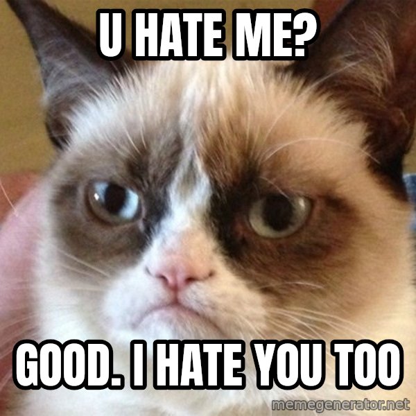 Angry Cat Meme meme: U hate me? / GOOD.  I hate you too