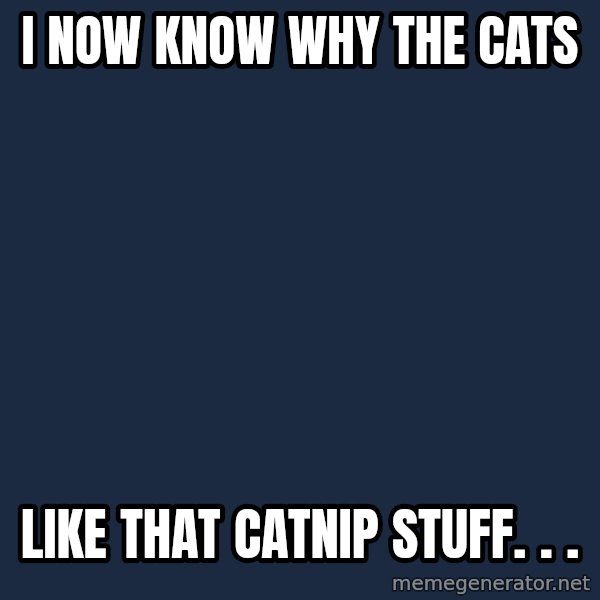 Stoner Dog meme: I now know why the cats / like that catnip stuff. . .