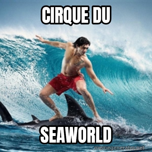 Zambezi Meme Team meme: cirque du / Seaworld