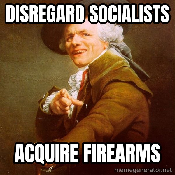 Joseph Ducreux meme: DISREGARD SOCIALISTS / ACQUIRE FIREARMS