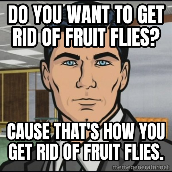 Archer meme: Do you want to get rid of fruit flies? / Cause that's how you get rid of fruit flies.