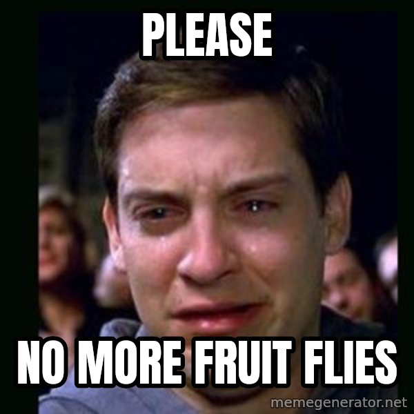 crying peter parker meme: Please / No more fruit flies
