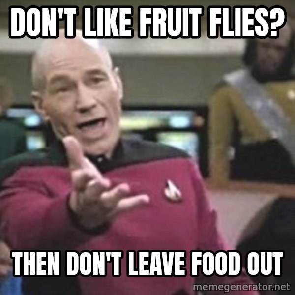 Captain Picard meme: Don't like fruit flies? / Then don't leave food out