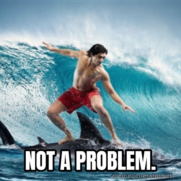 Zambezi Meme Team meme: Not a problem.