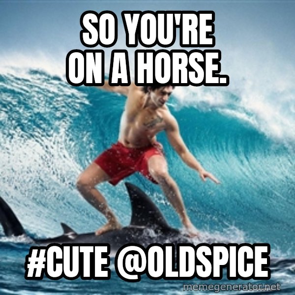 Zambezi Meme Team meme: So you're on a horse. / #cute @oldspice
