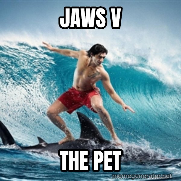 Zambezi Meme Team meme: JAWS V / The Pet