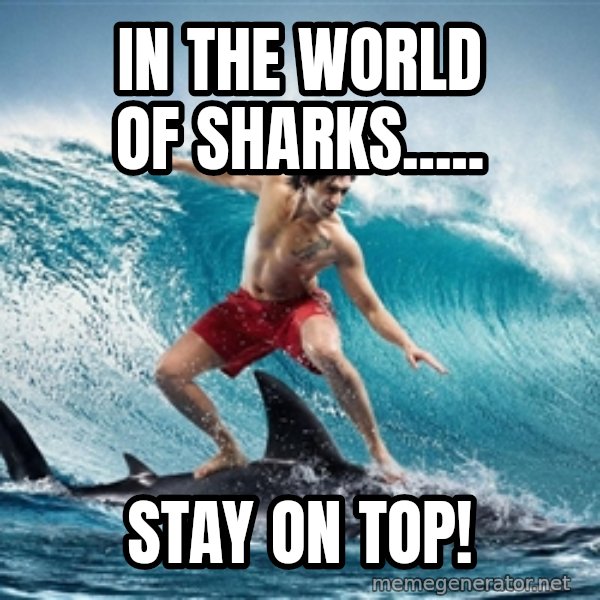 Zambezi Meme Team meme: IN THE WORLD OF SHARKS..... / STAY ON TOP!