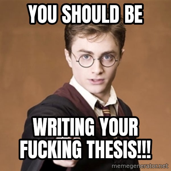 Advice Harry Potter meme: YOU SHOULD BE / WRITING YOUR FUCKING THESIS!!!