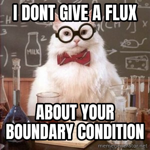 Chemistry Cat meme: I dont give a Flux / about your boundary condition