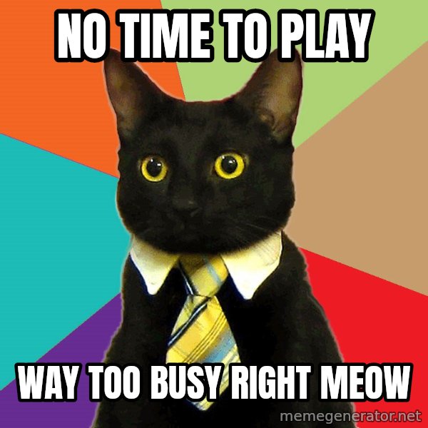 Business Cat meme: no time to play / way too busy right meow