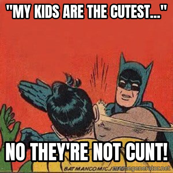 batman slap robin meme: "My kids are the cutest..." / No they're not cunt!