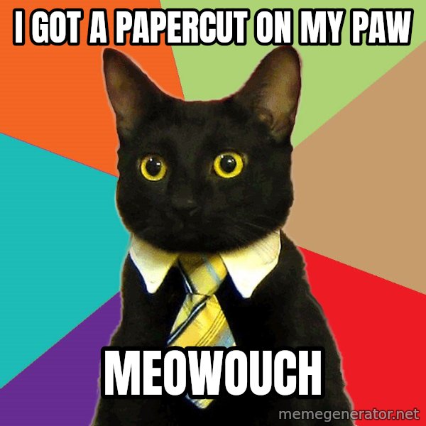 Business Cat meme: i got a papercut on my paw / Meowouch