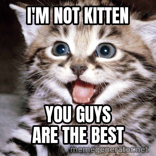 HAPPY KITTEN meme: i'm not kitten / you guys are the best