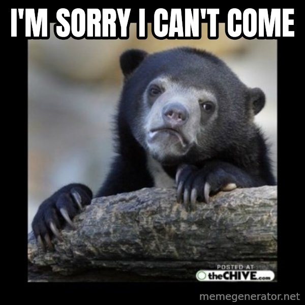 sad bear meme: I'm sorry I can't come