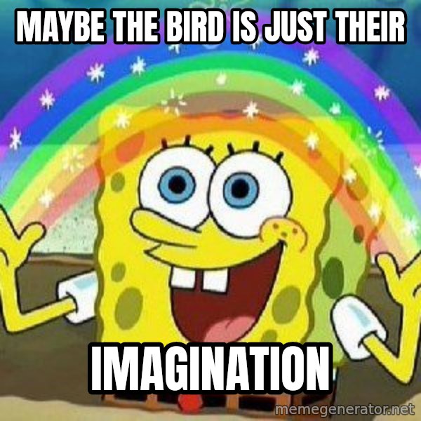 Imagination meme: maybe the bird is just their / imagination