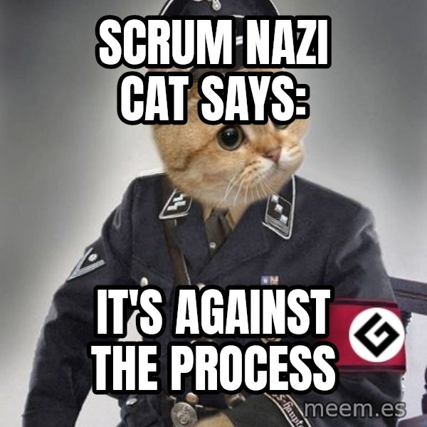 Nazi Cat meme: SCRUM NAZI CAT SAYS: / IT's against the process