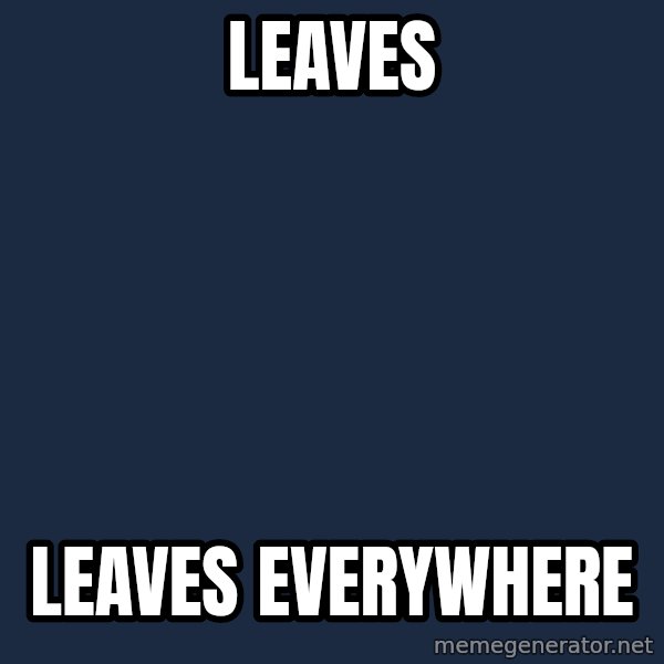 X, X Everywhere  meme: leaves / leaves everywhere