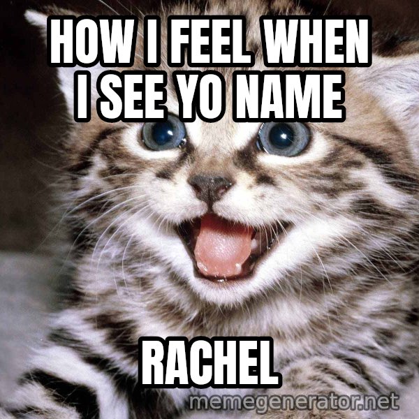HAPPY KITTEN meme: How I feel when I see yo name / Rachel