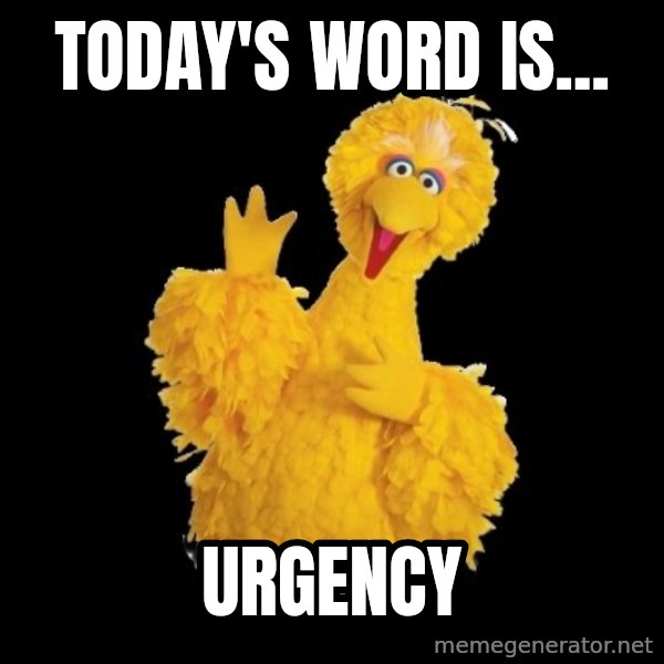 BIG BIRD meme meme: Today's Word Is... / URGENCY