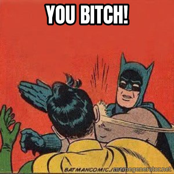 batman slap robin meme: you bitch!
