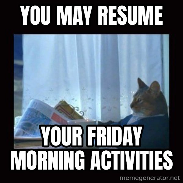 i should buy a boat cat meme: you may resume / your friday morning activities