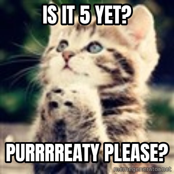 Praying Kitten meme: Is it 5 yet? / Purrrreaty Please?
