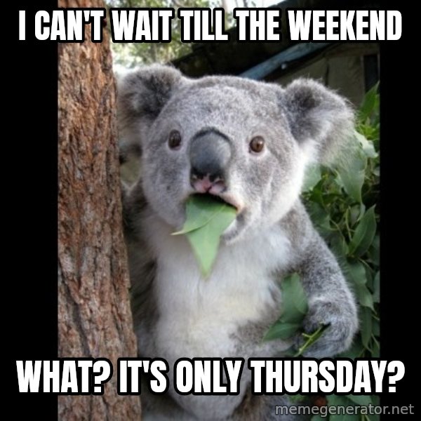 Koala can't believe it meme: I can't wait till the weekend / What? It's only Thursday?