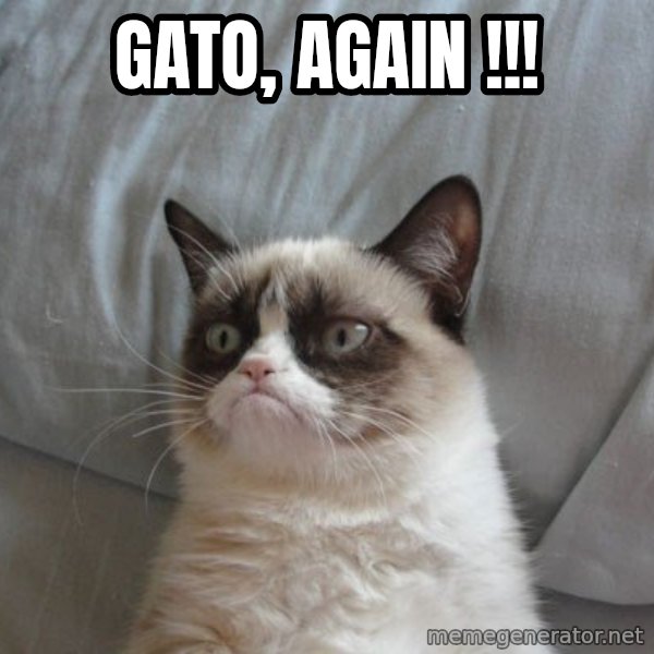Grumpy cat good meme: GATO, AGAIN !!!