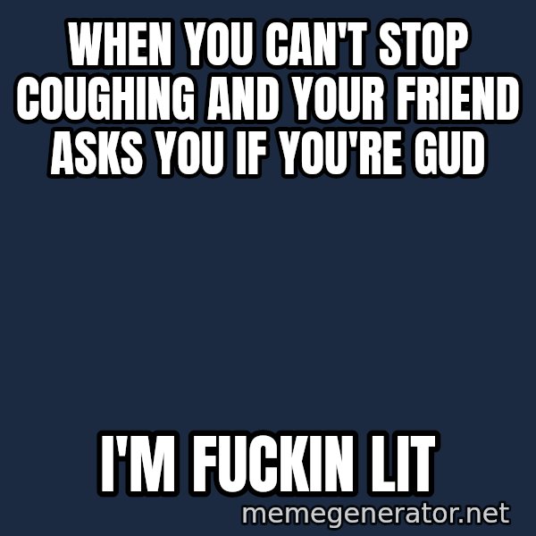 Seal Lit meme: When you can't stop coughing and your friend asks you if you're gud / I'm Fuckin Lit