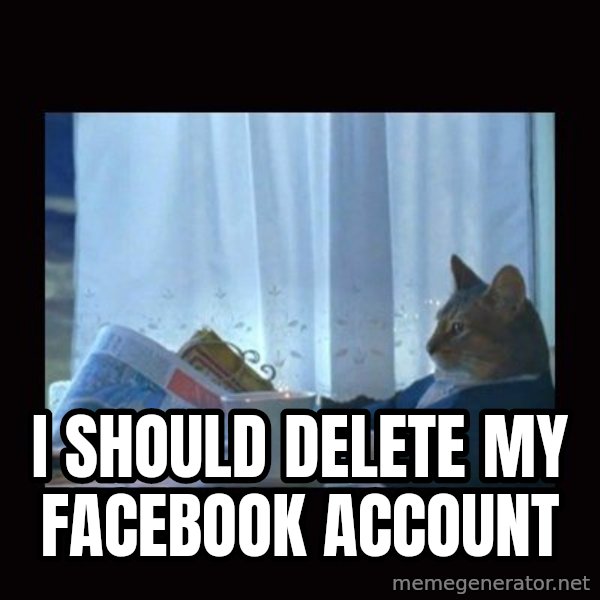 i should buy a boat cat meme: I Should Delete my Facebook Account