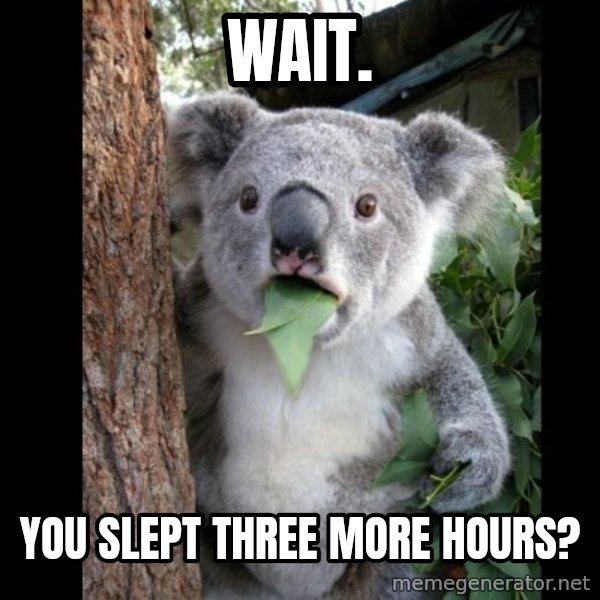 Koala can't believe it meme: Wait. / You slept three more hours?