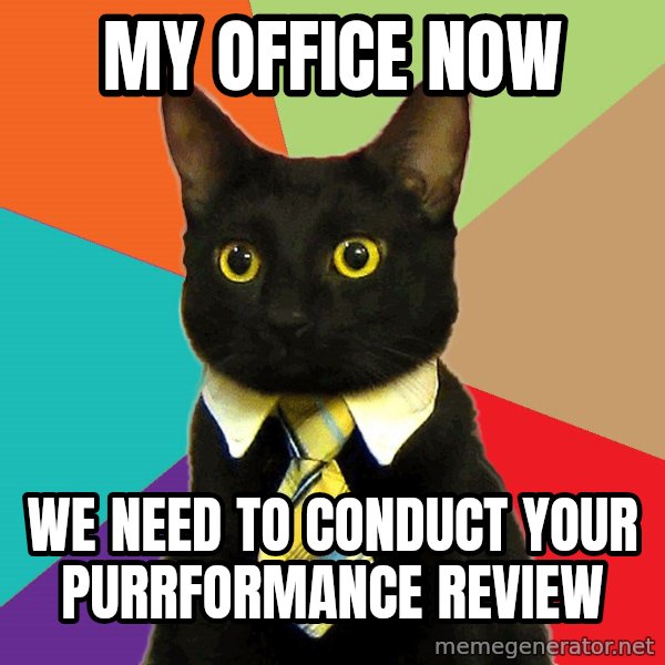 Business Cat meme: My office now / We need to conduct your purrformance review