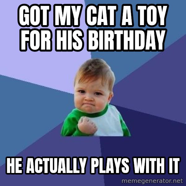 Success Kid meme: Got my cat a toy for his birthday / he actually plays with it