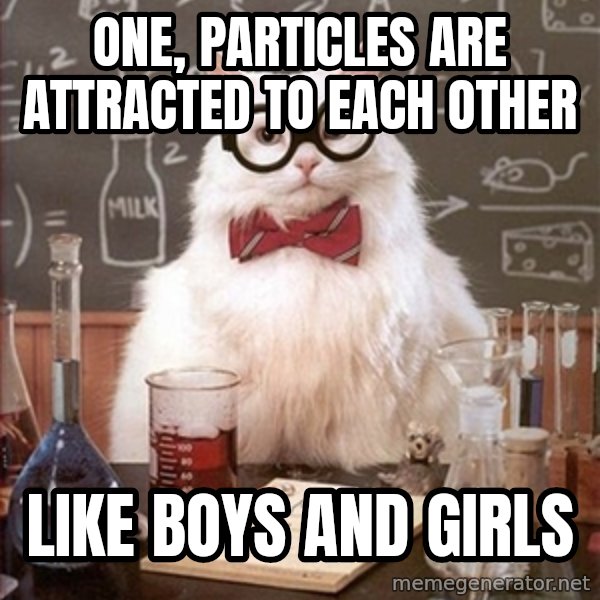 Science Cat meme: one, particles are attracted to each other / like boys and girls