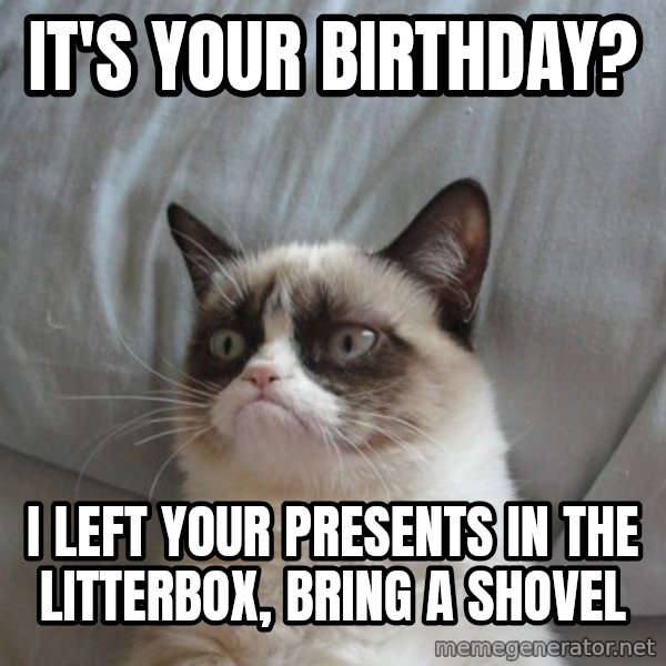 Grumpy cat good meme: it's your birthday? / I left your presents in the litterbox, bring a shovel