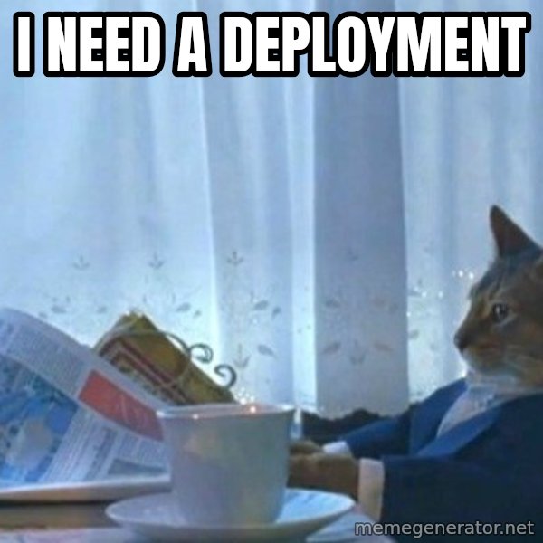 newspaper cat realization meme: I Need A Deployment