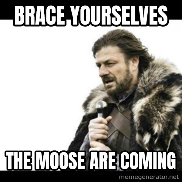 Winter is Coming meme: Brace Yourselves / The Moose Are Coming