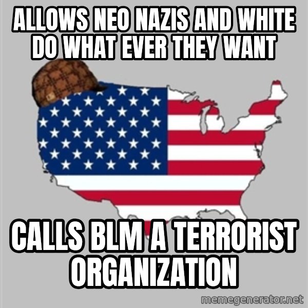 Scumbag America2 meme: Allows neo nazis and white do what ever they want / Calls BLM a terrorist organization